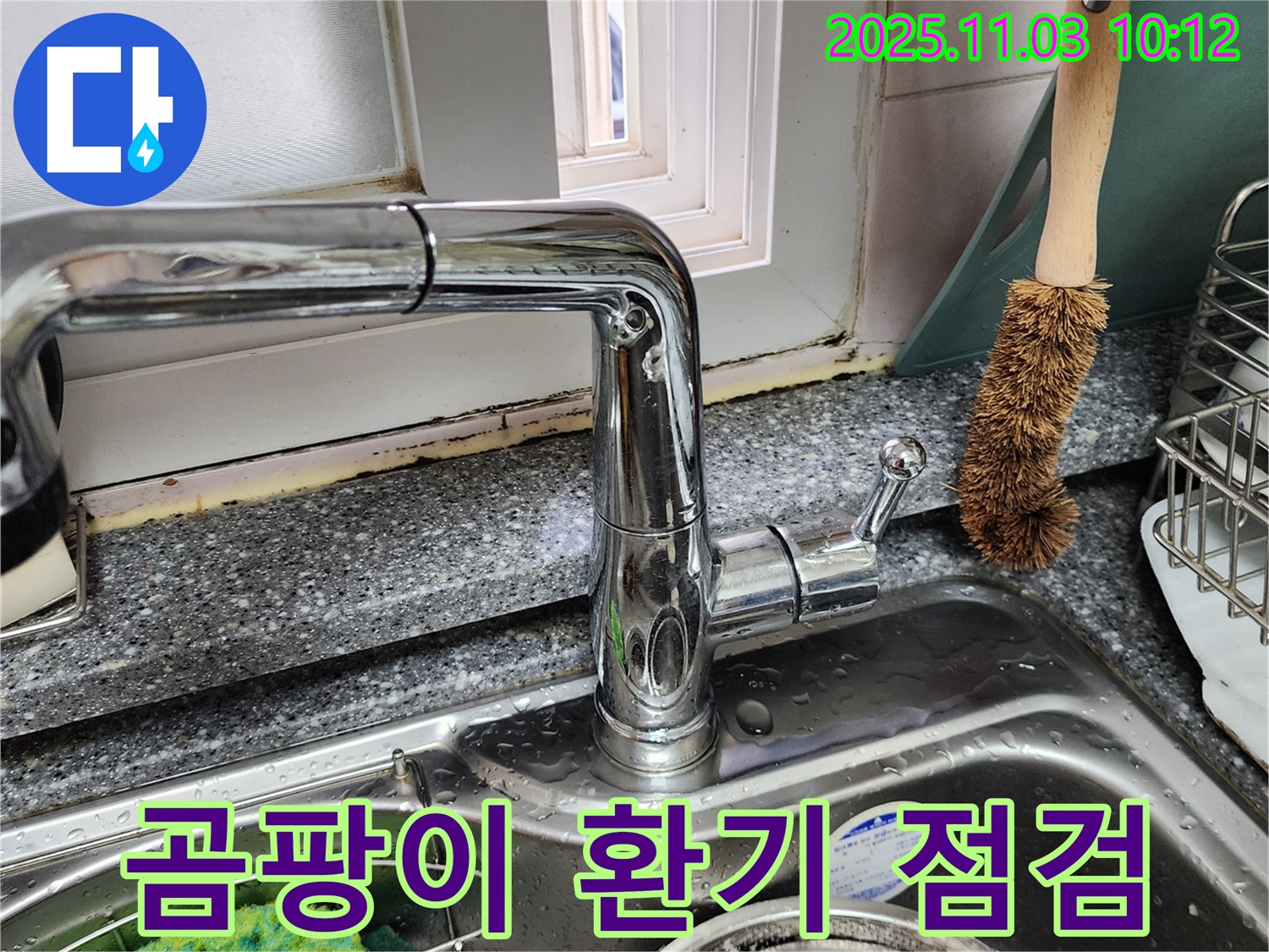 싱크대와 창틀 곰팡이 - 곰팡이 제거 - 환기 시스템 점검 서비스