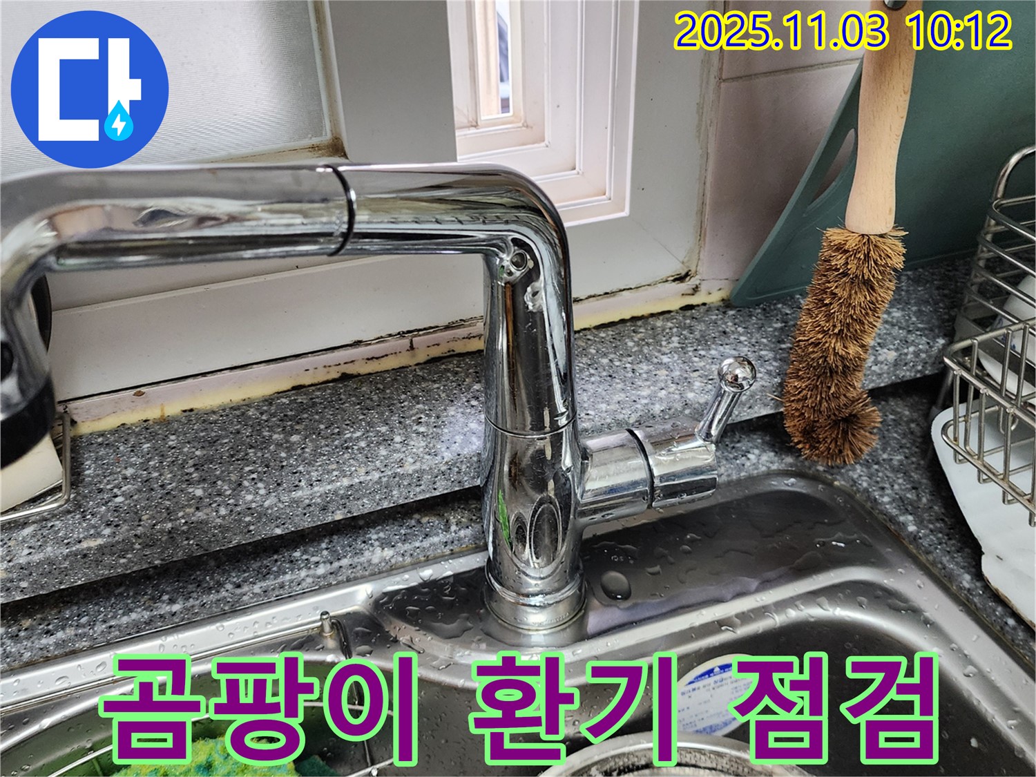 싱크대와 창틀 곰팡이 - 곰팡이 제거 - 환기 시스템 점검 서비스