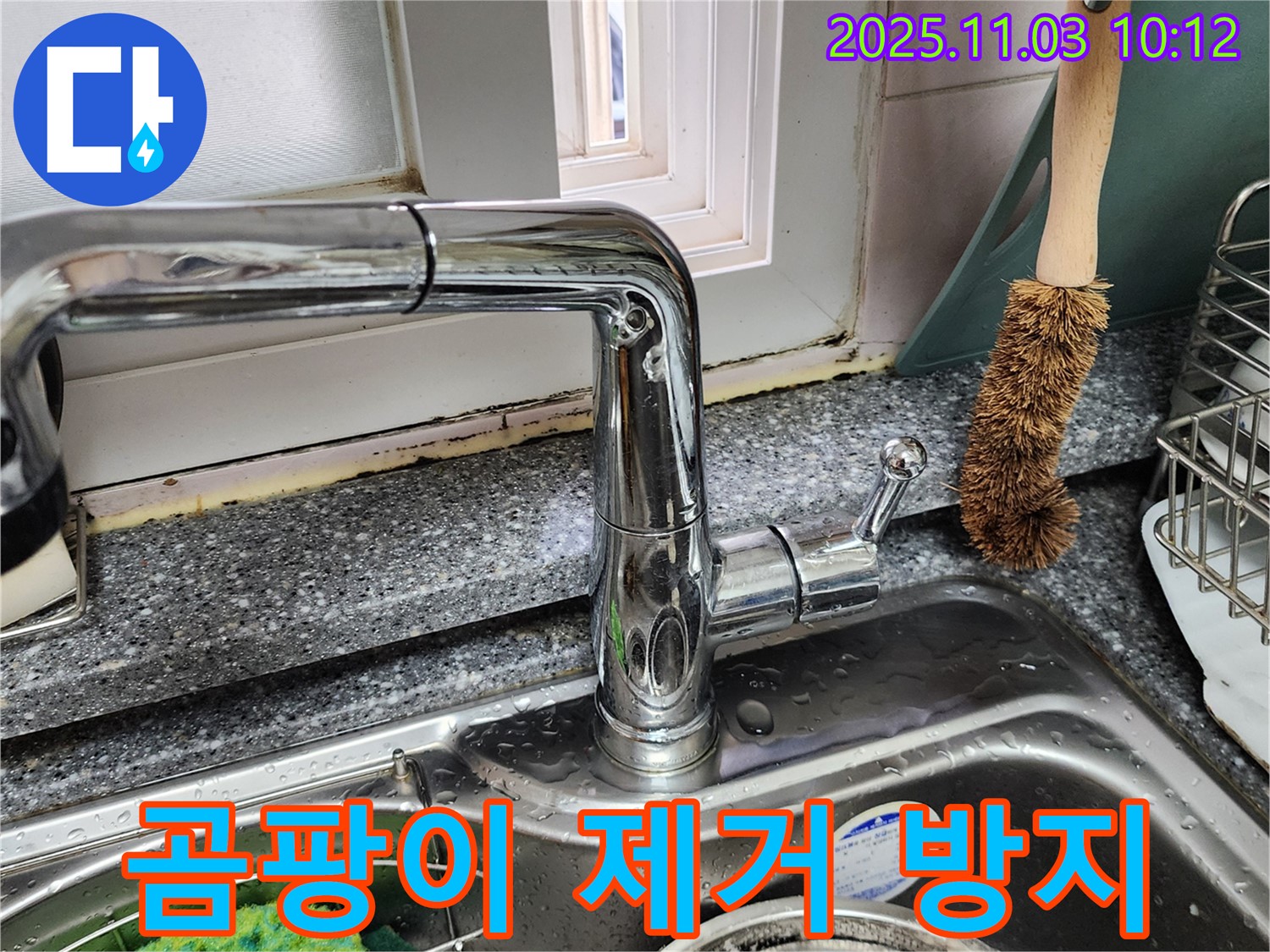 싱크대와 창틀 곰팡이 - 완벽한 곰팡이 제거 - 곰팡이 재발 방지 시공