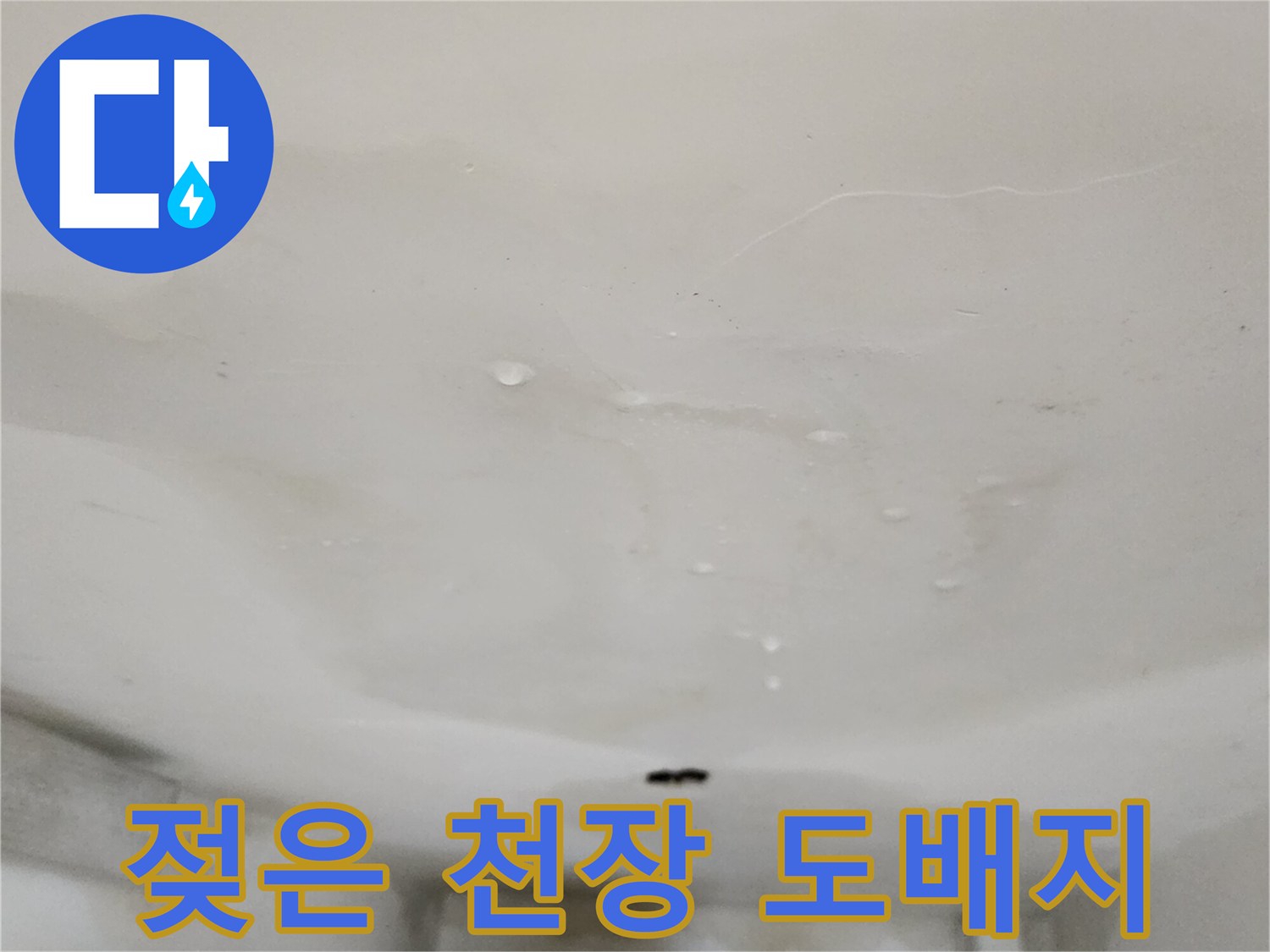 물기로 인해 변색되고 젖어 있는 천장 도배지 모습