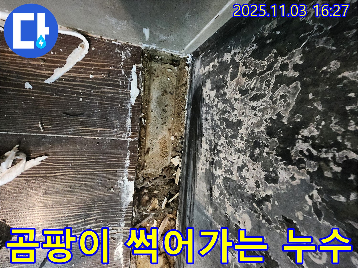 양주시 삼숭동 누수 - 곰팡이와 함께 썩어가는 공간. 누수와의 사투에서 승리하세요!