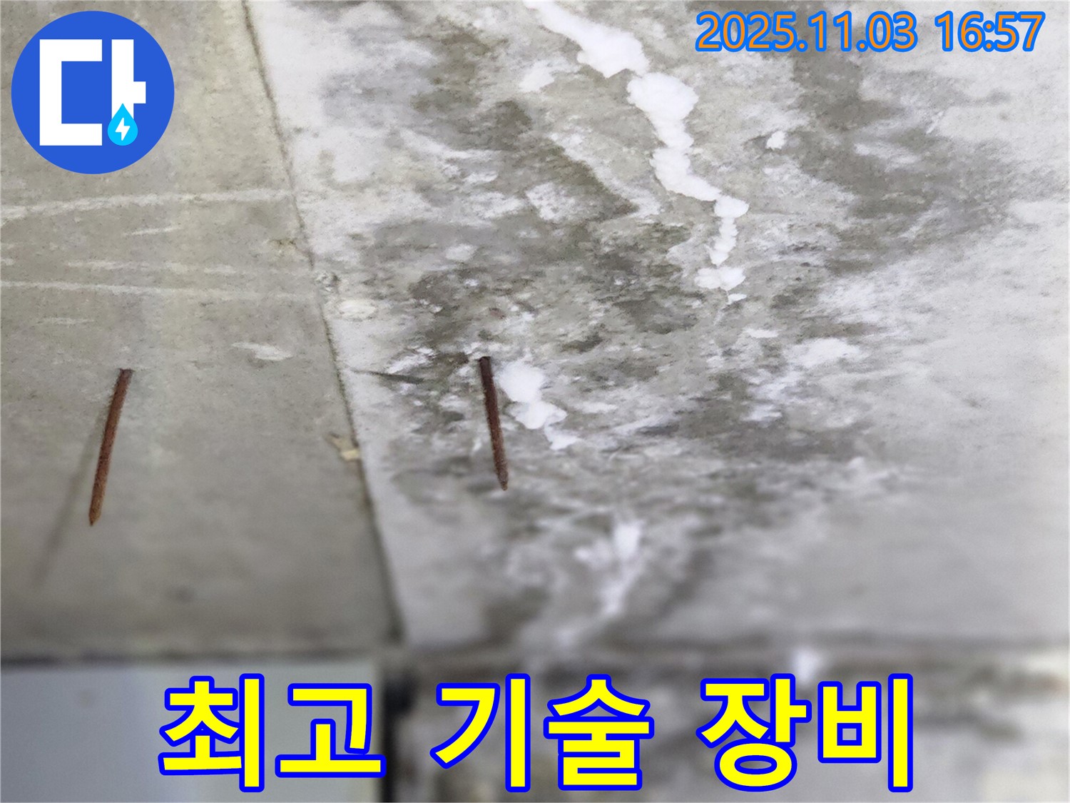 양주시 삼숭동 누수 현장 - 최고의 장비와 숙련된 기술력으로 완벽하게 누수 문제를 해결합니다 - 믿고 맡겨주세요.