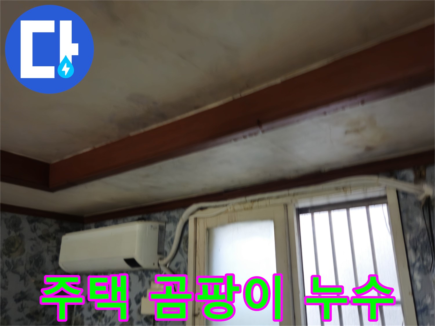 오래된 주택 곰팡이 누수 - 문제 해결 과정을 담은 이미지