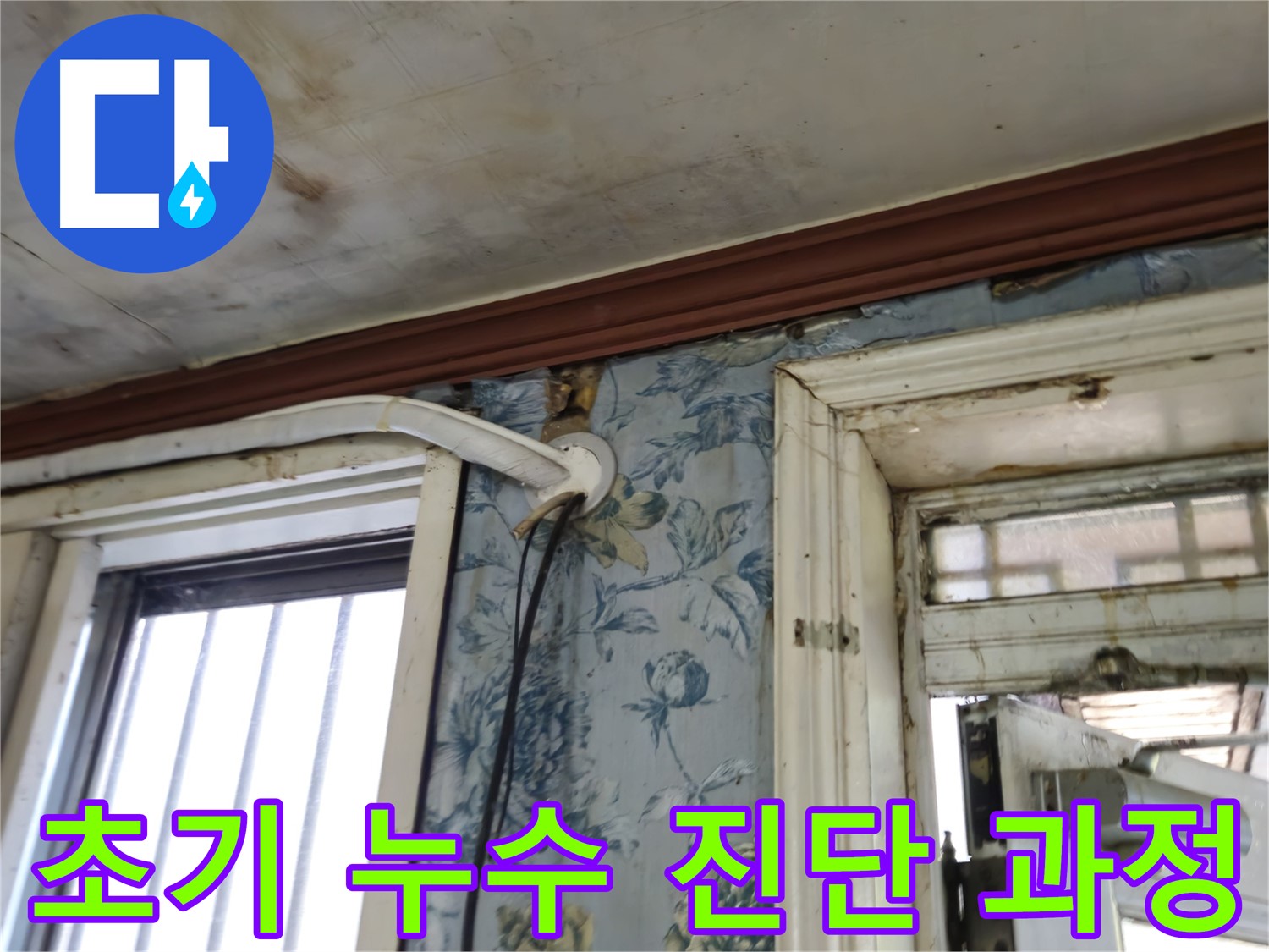 청파동 아파트 누수 - 천장 손상으로 인한 정밀 누수 진단 과정