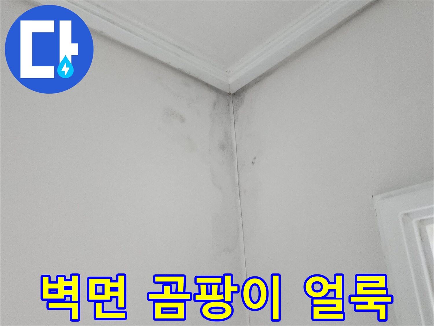 벽면 구석에 발생한 습기와 곰팡이 흔적