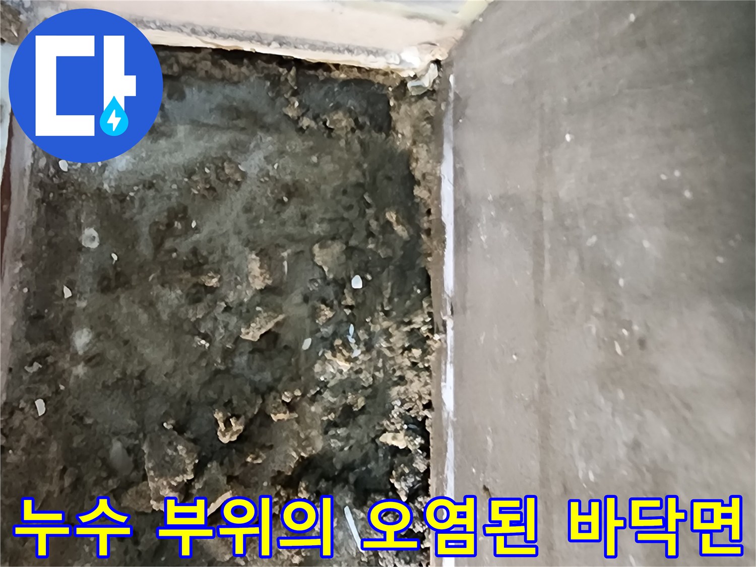 신곡동 현장-방수층 파손으로 인해 젖어있는 배수구 내부