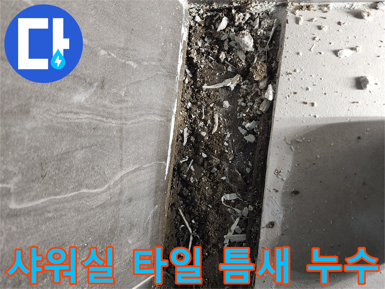 의정부 신곡동-샤워실 바닥 타일 사이의 벌어진 틈과 오염된 내부 모습