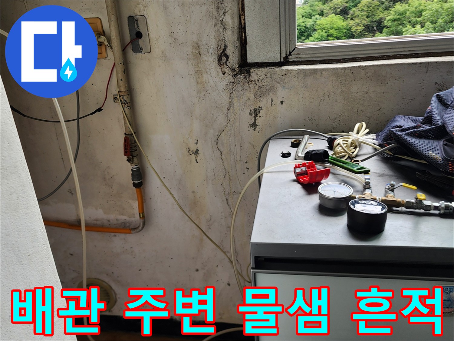 벽면 배관 주위의 젖은 자국과 곰팡이 발생 부위