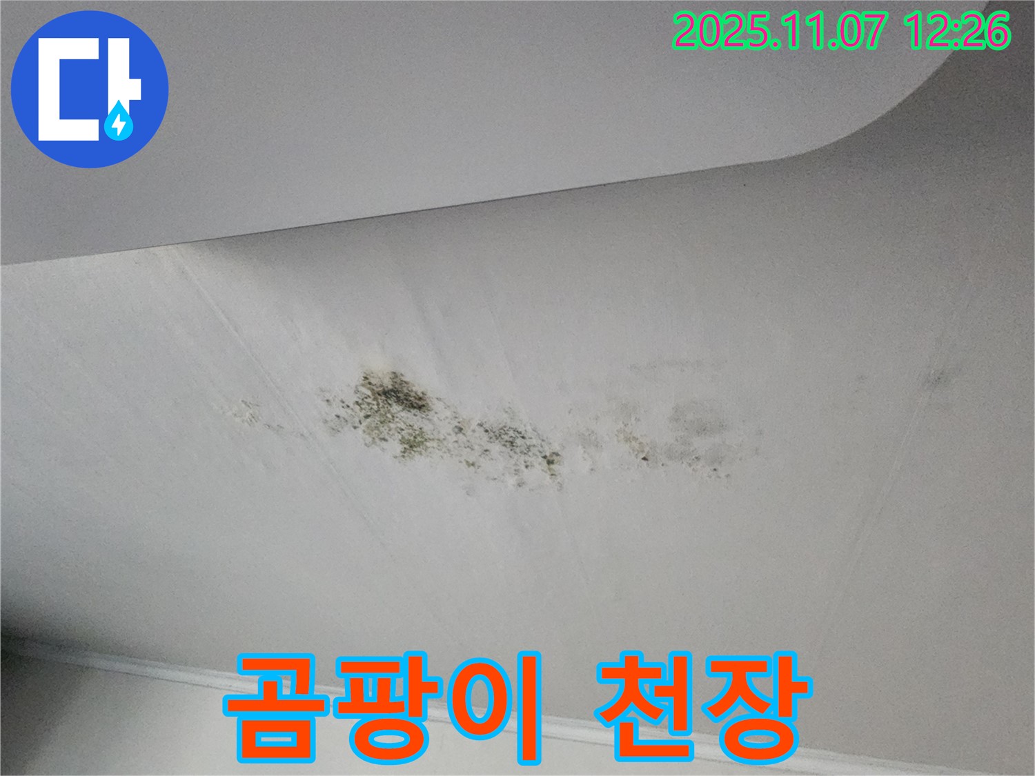 송산동 곰팡이 핀 천장 - 누수 흔적과 곰팡이