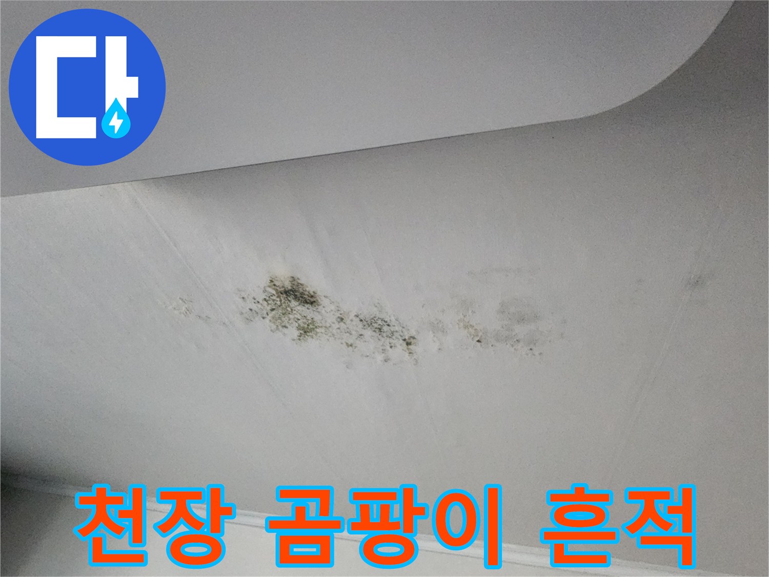 의정부 송산동 현장의 천장 곰팡이 및 변색 상태