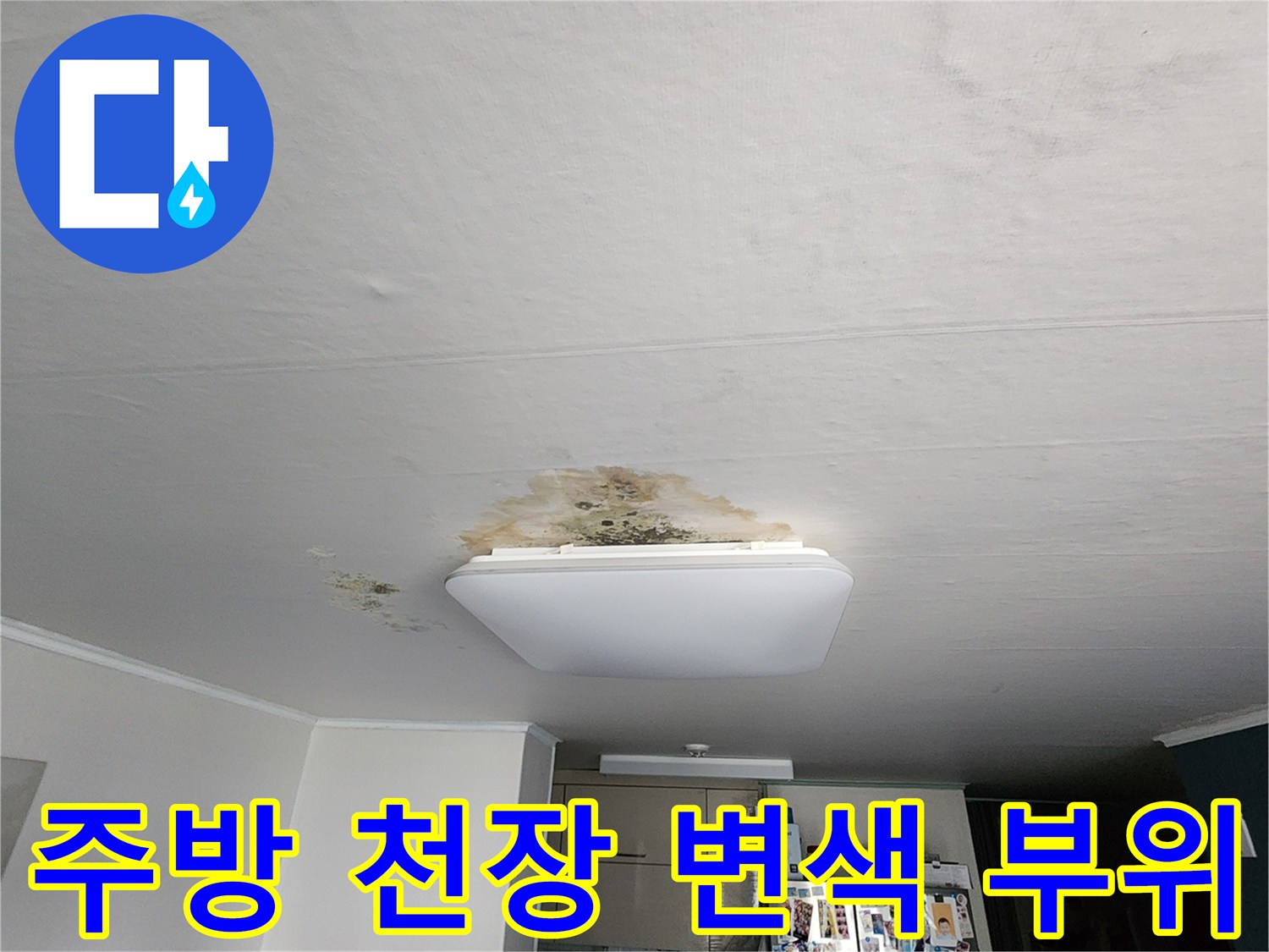 천장 조명 주변으로 퍼져 나가는 물샘 흔적과 얼룩