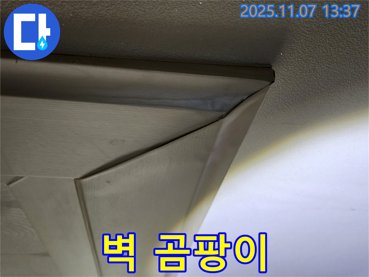 송산동 누수 - 꺾임 몰딩과 벽 사이 곰팡이 - 건강 위협, 누수 해결 필수