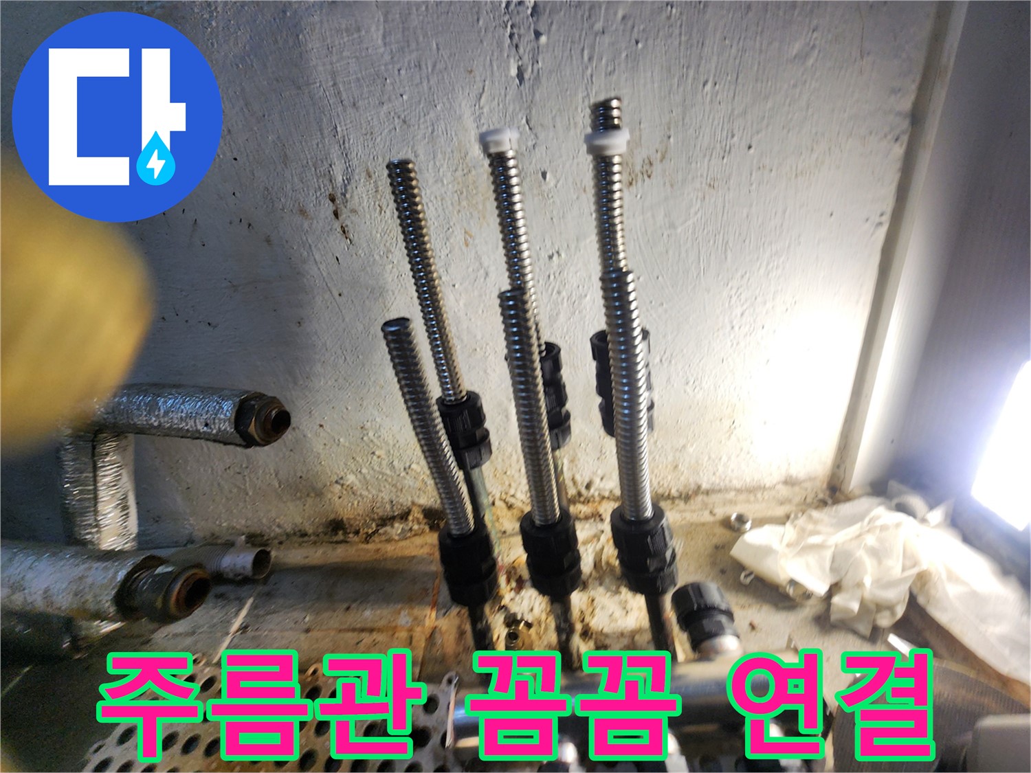 신월동 누수 - 꼼꼼한 스텐 주름관 교체 시공 현장