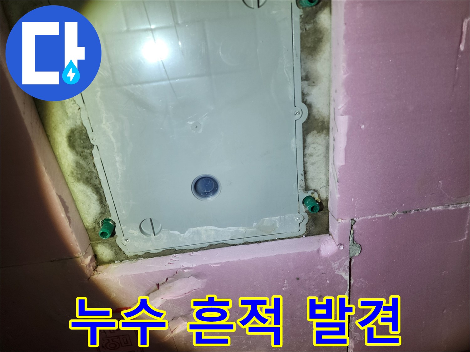 작전동 욕실 - 천장 점검구 주변 누수 흔적 발견