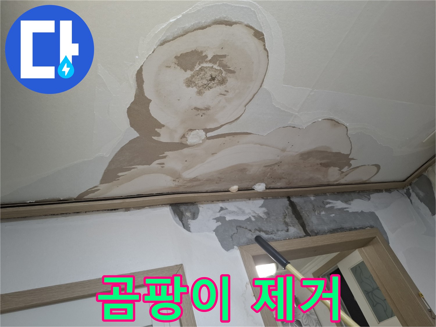 곰팡이 핀 석고보드 제거 - 쾌적한 실내 환경 조성!