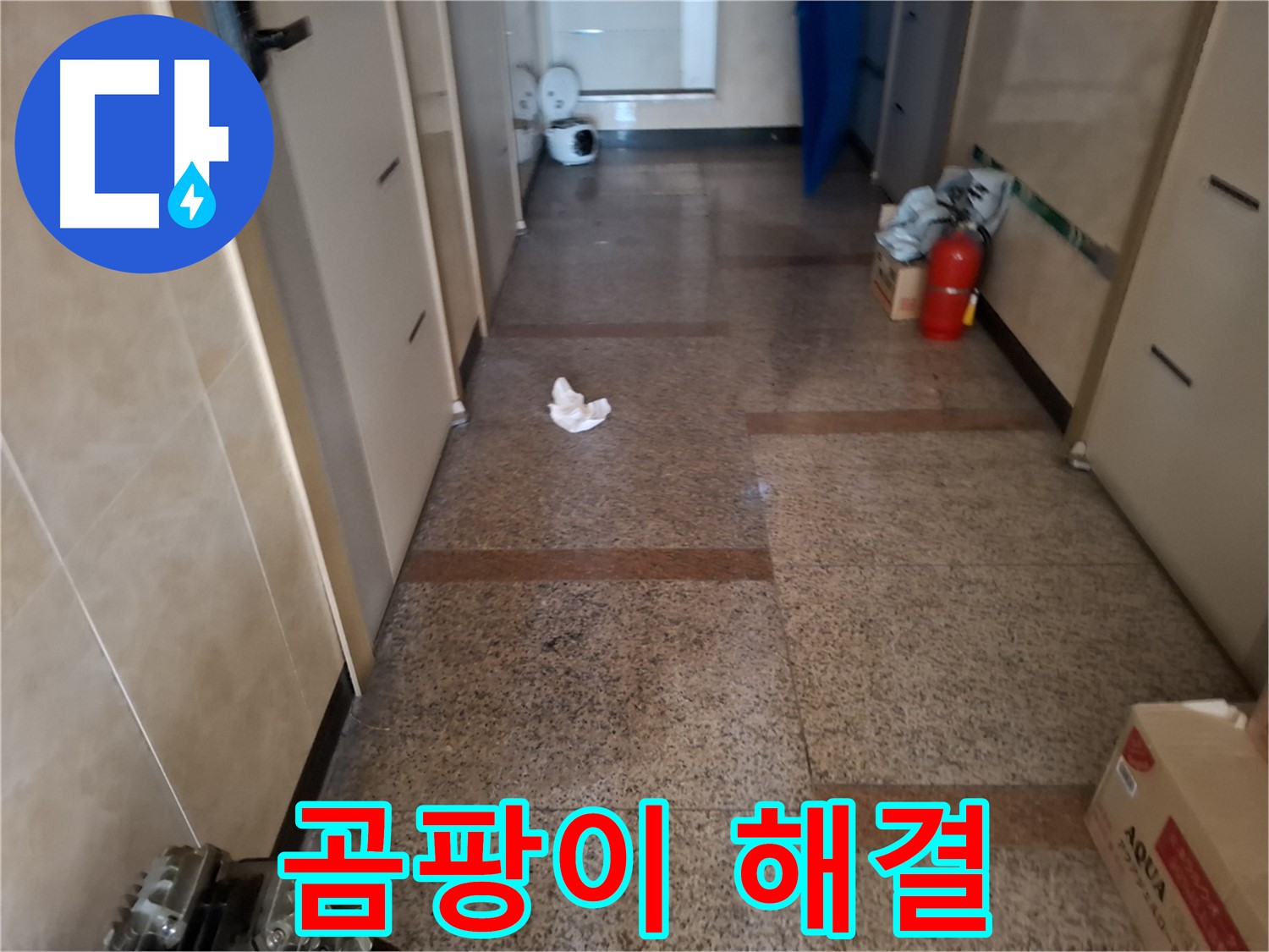 복도 곰팡이 해결 - 문제 해결 - 신림 누수 전문가