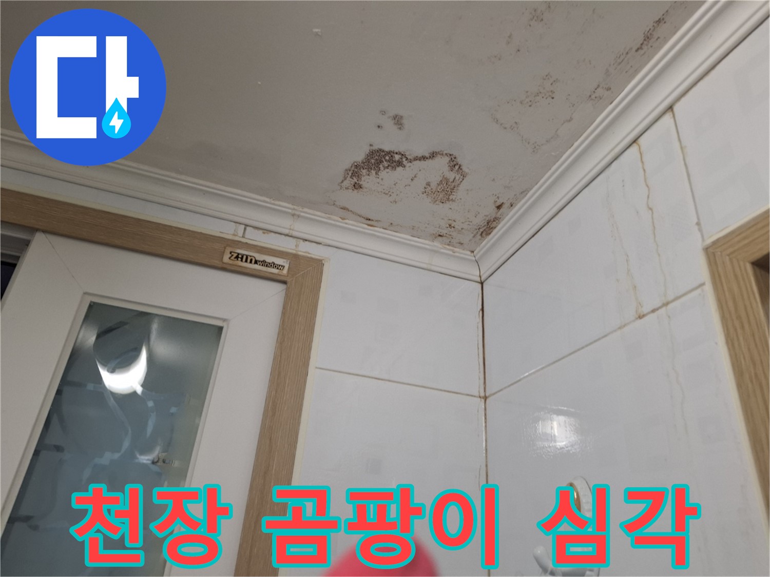 심각한 천장 곰팡이 - 욕실 누수 - 건강 위협