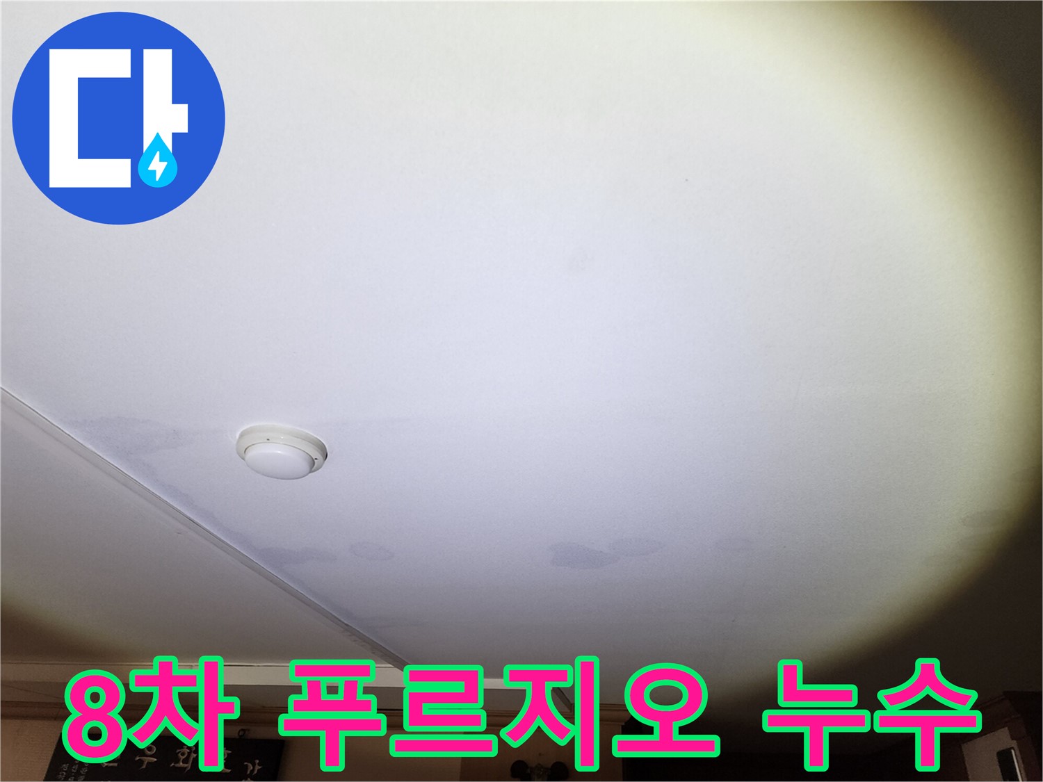 천장에 생긴 누수 자국 - 안산 8차 푸르지오 누수 문제 해결을 위한 전문가의 방문