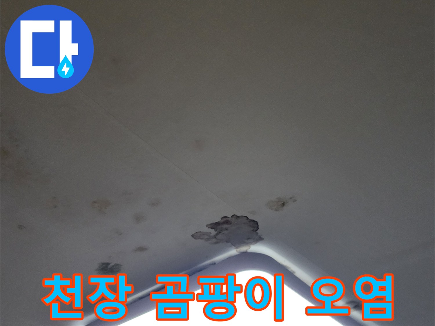 거실 조명 주변부의 곰팡이와 습기로 인한 변색 부위