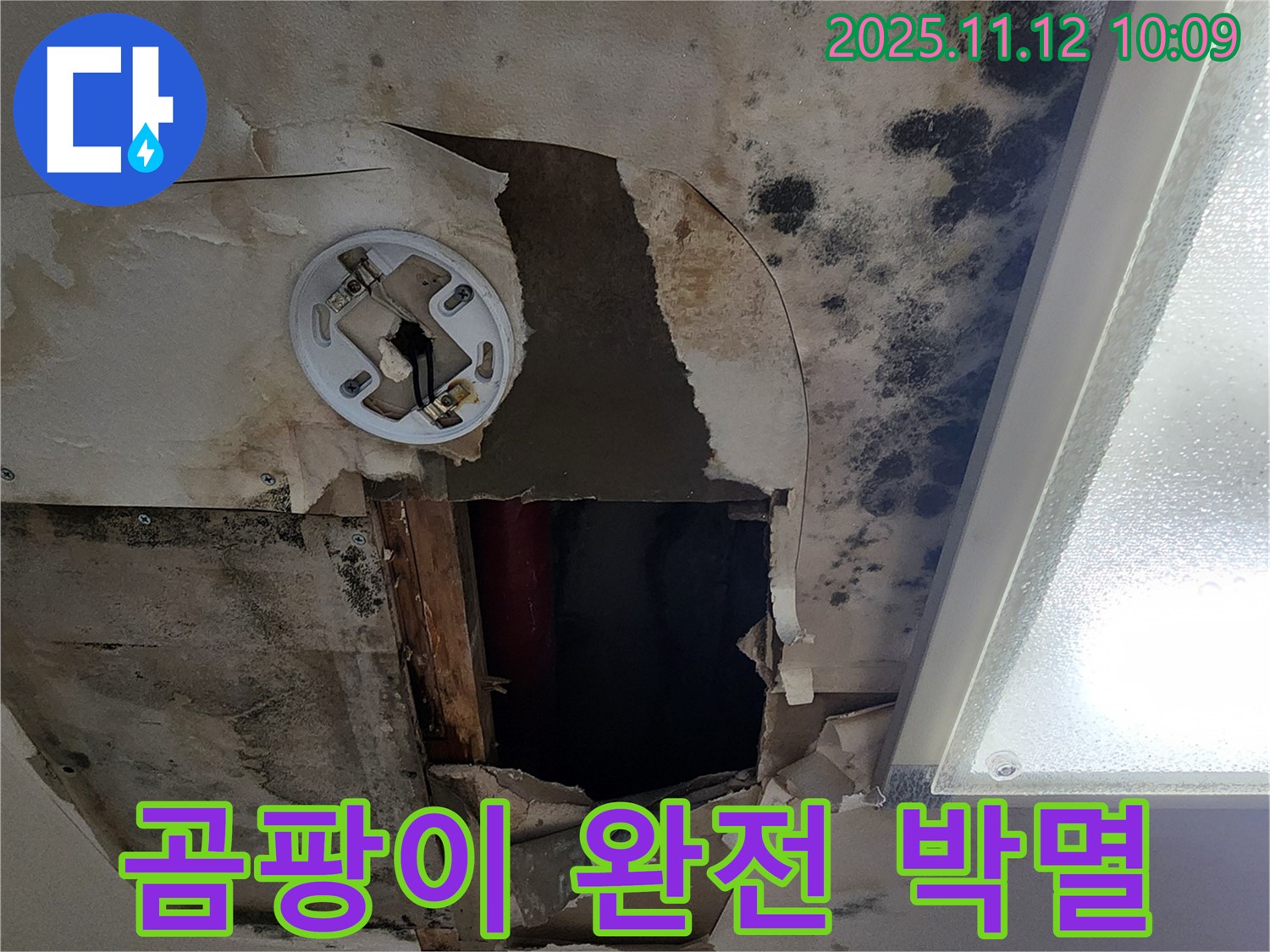곰팡이 제거 시공 - 친환경 약품으로 곰팡이 완벽 제거 및 재발 방지
