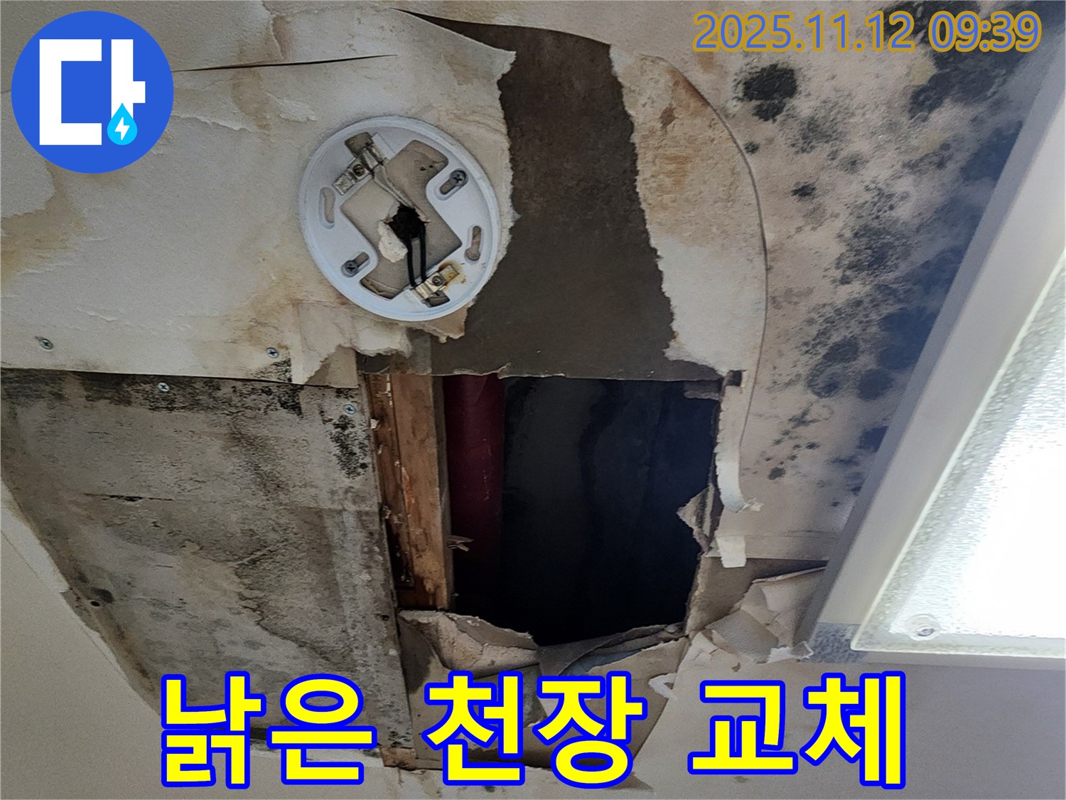 낡고 손상된 천장 - 누수로 인해 낡고 손상된 천장, 교체 및 산뜻한 새로운 단장 필요