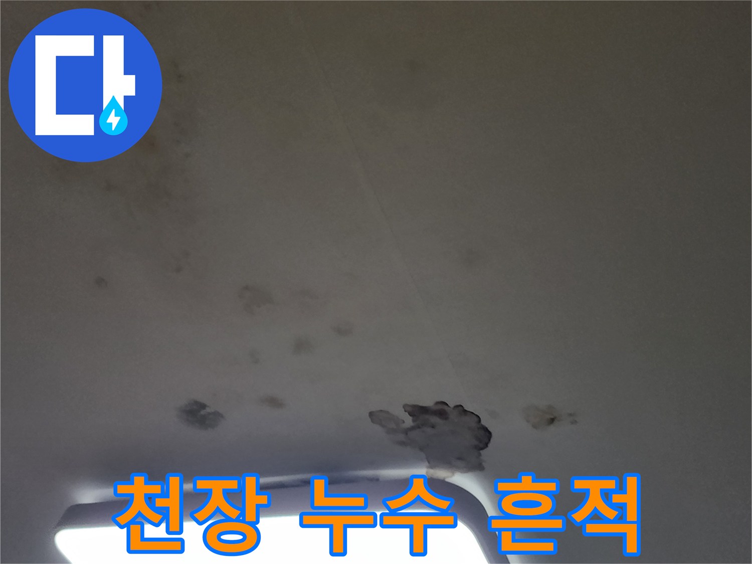 넓게 퍼진 천장 물 얼룩과 곰팡이 부위
