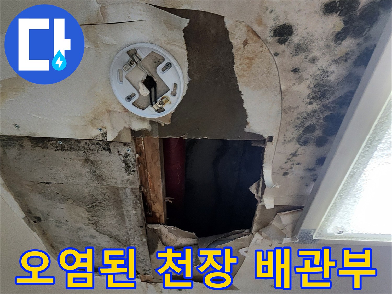 배관 근처에 나타난 심한 곰팡이와 물 얼룩