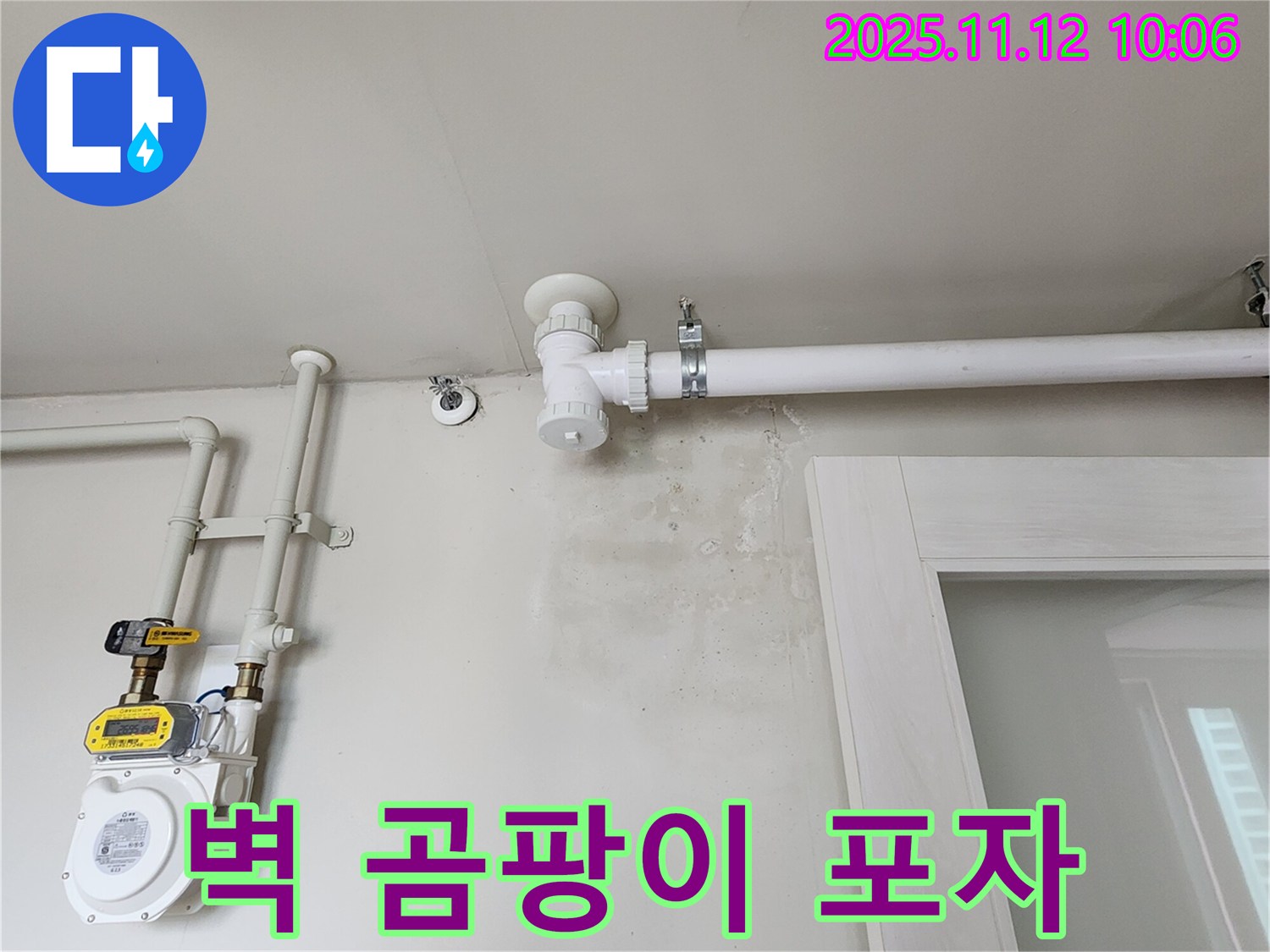 벽에 곰팡이 포자 - 호흡기 건강에 적신호! 누수 해결이 먼저입니다!