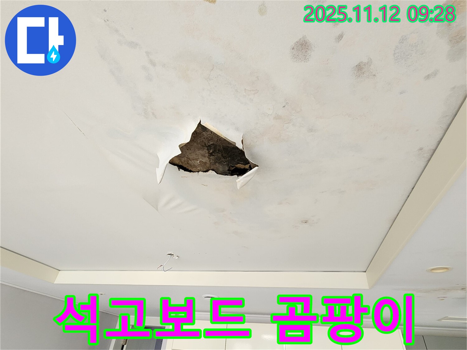 석고보드 곰팡이 - 석고보드 표면에 곰팡이가 심하게 번식한 모습입니다.