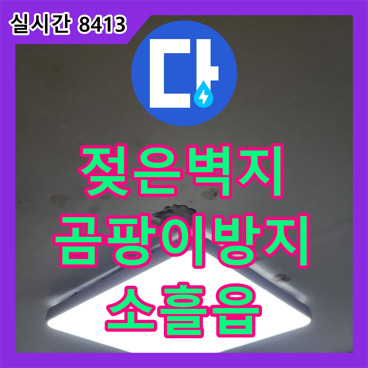소흘읍 누수업체, 젖은 벽지, 곰팡이 번식 막는 완벽 복구!