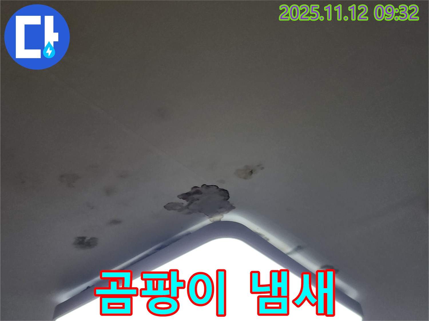 소흘읍 무봉리 천장 누수 - 곰팡이 냄새, 건강을 위협