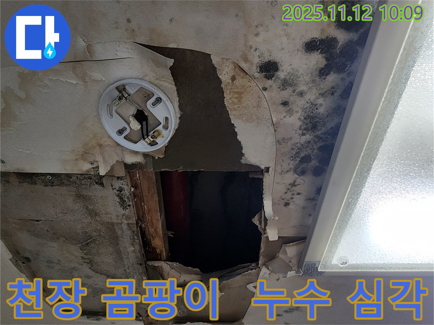 심각한 천장 곰팡이 - 누수로 인한 곰팡이 오염 상태를 보여주는 이미지