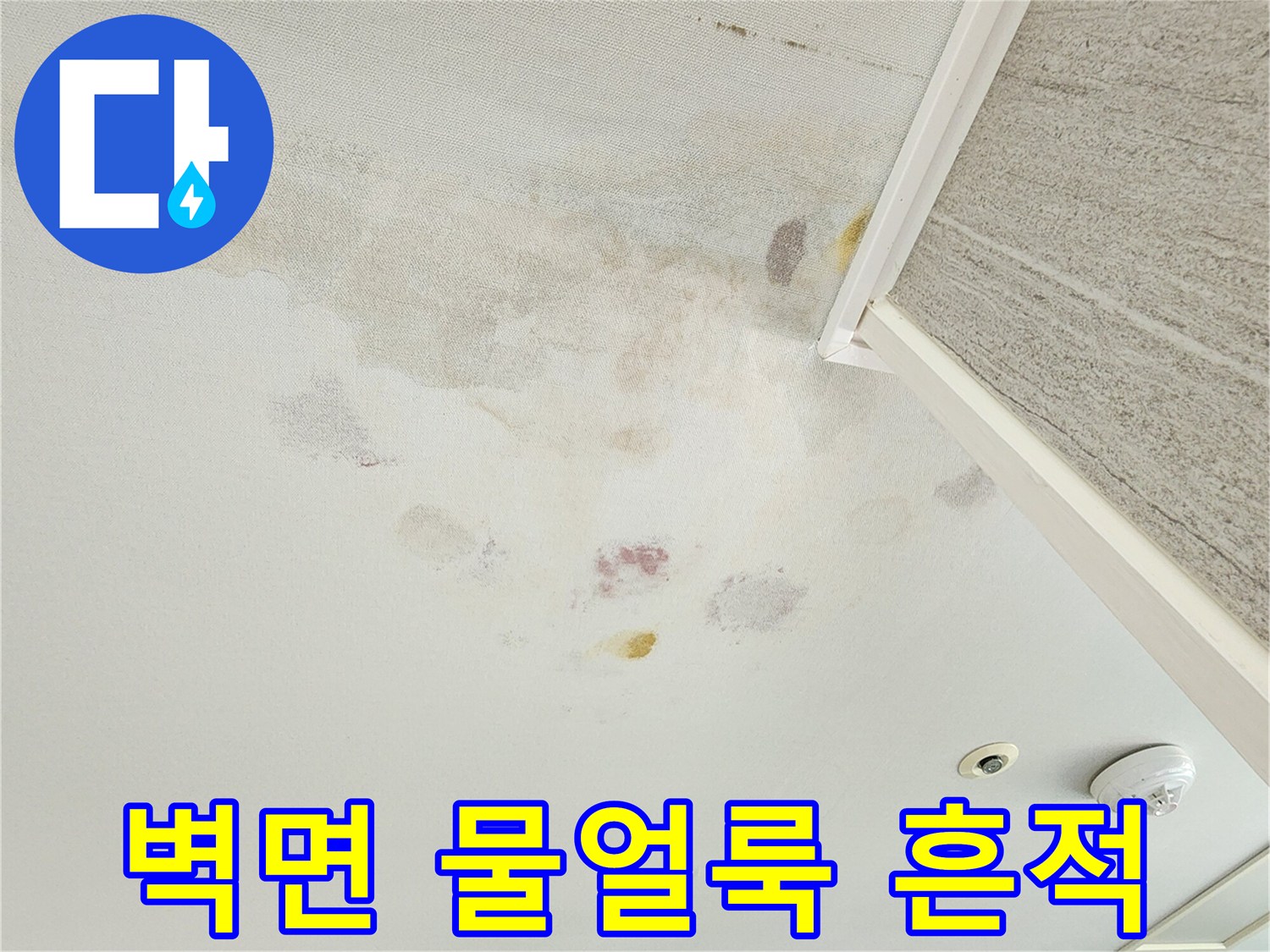 아파트 벽면에 발생한 누수물자국과 곰팡이 흔적