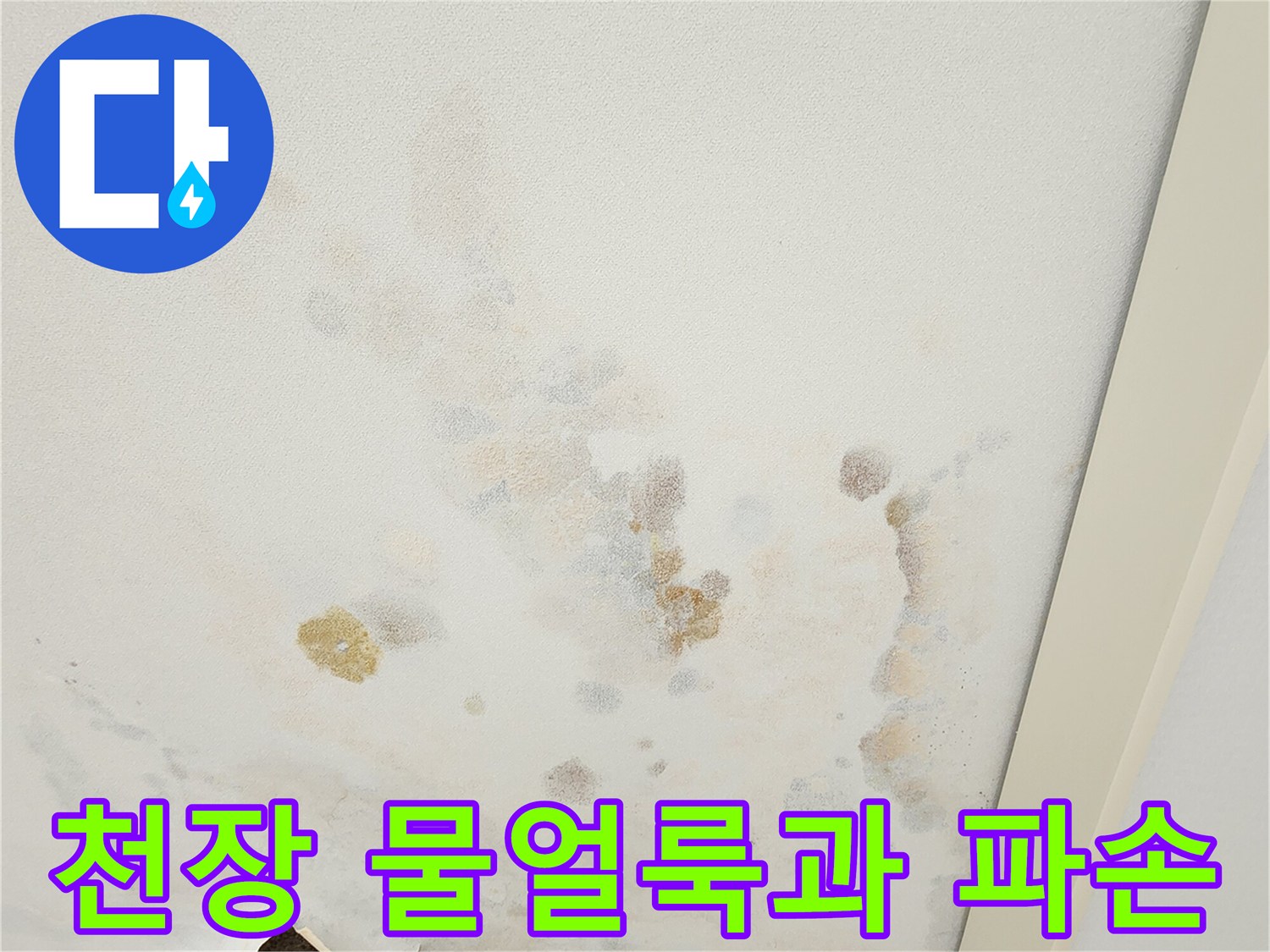 아파트 천장 마감재에 발생한 광범서한 물얼룩과 탈락된 부위