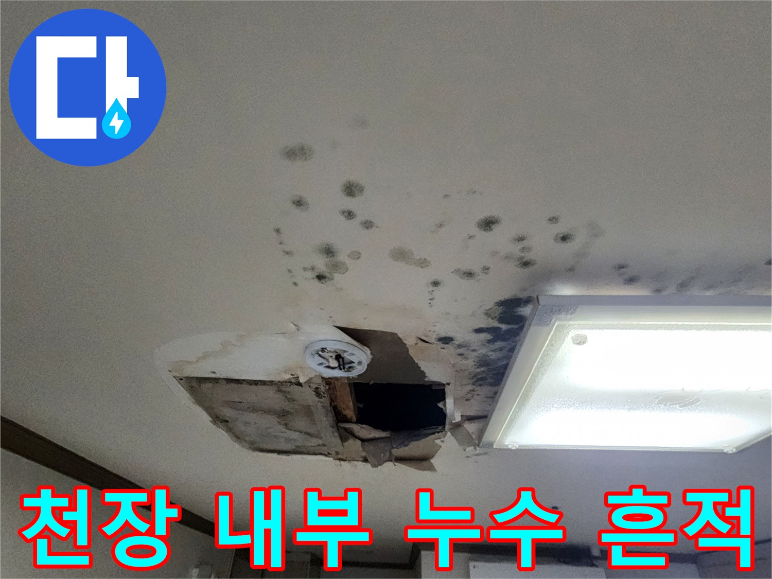 절개된 천장 틈새로 보이는 배관 주변의 습윤한 상태