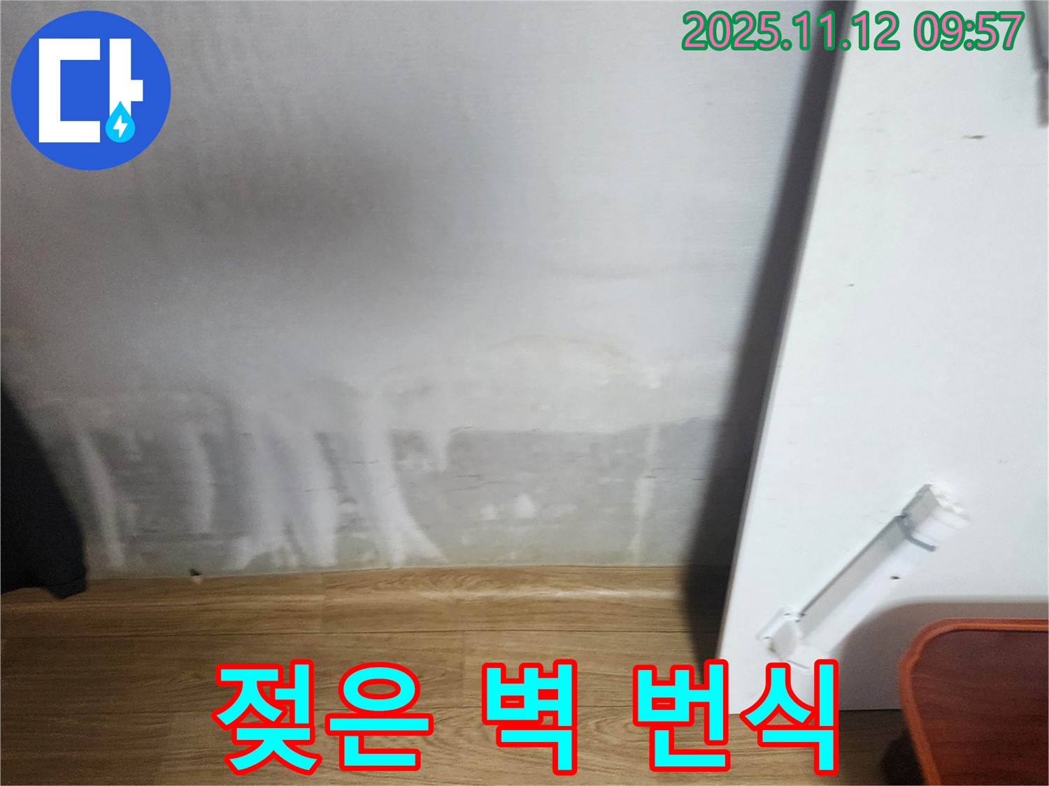젖은 벽 - 곰팡이 번식 - 쾌적 공간