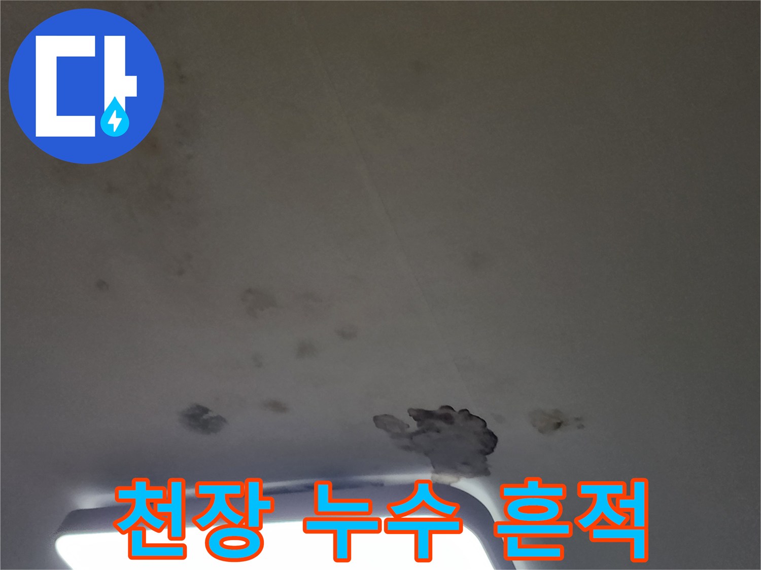 천장 상단부에 나타난 물 얼룩과 곰팡이 현상