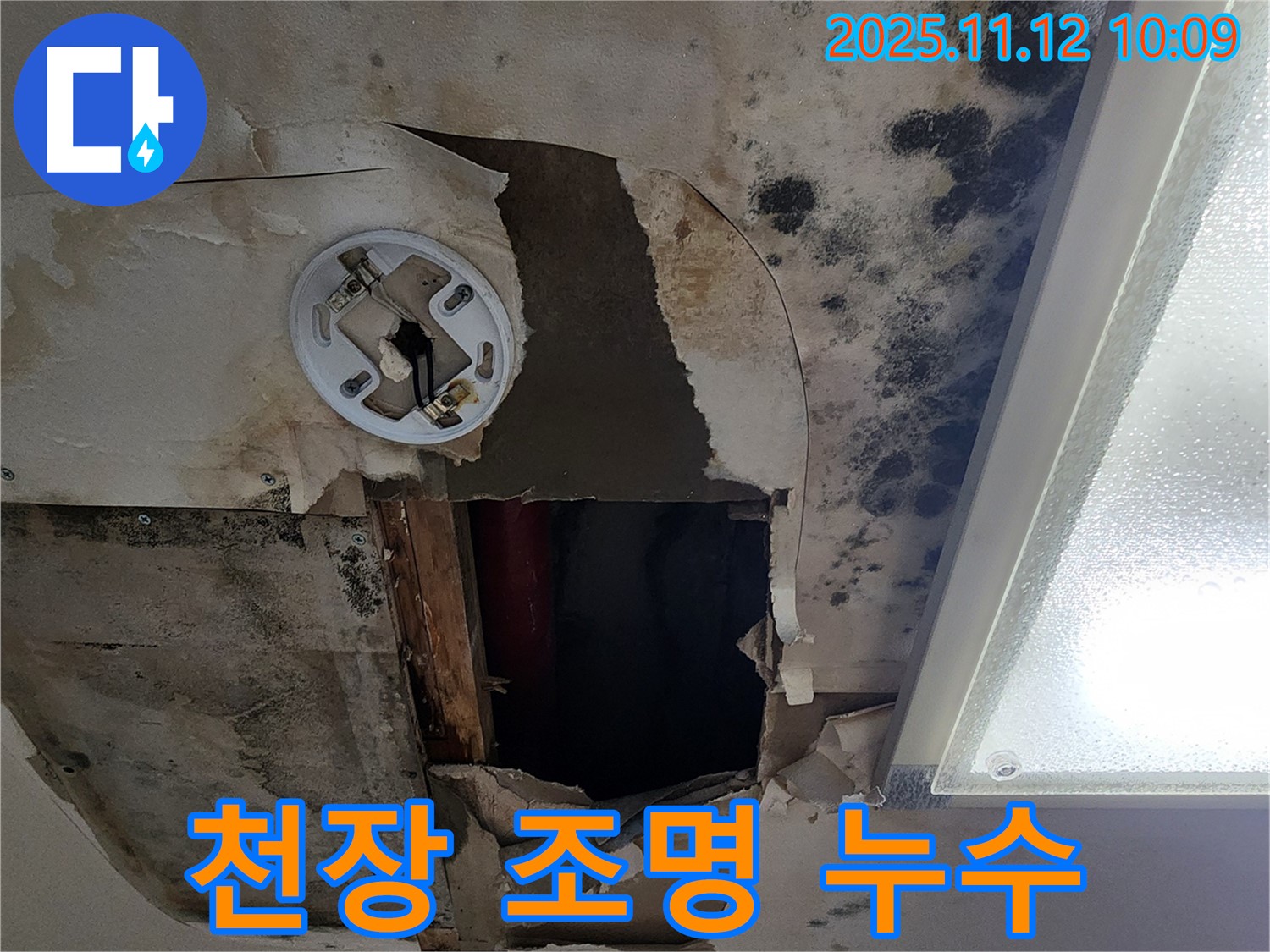 천장 조명 누수 - 천장 조명 주변으로 누수가 발생한 위험한 상황