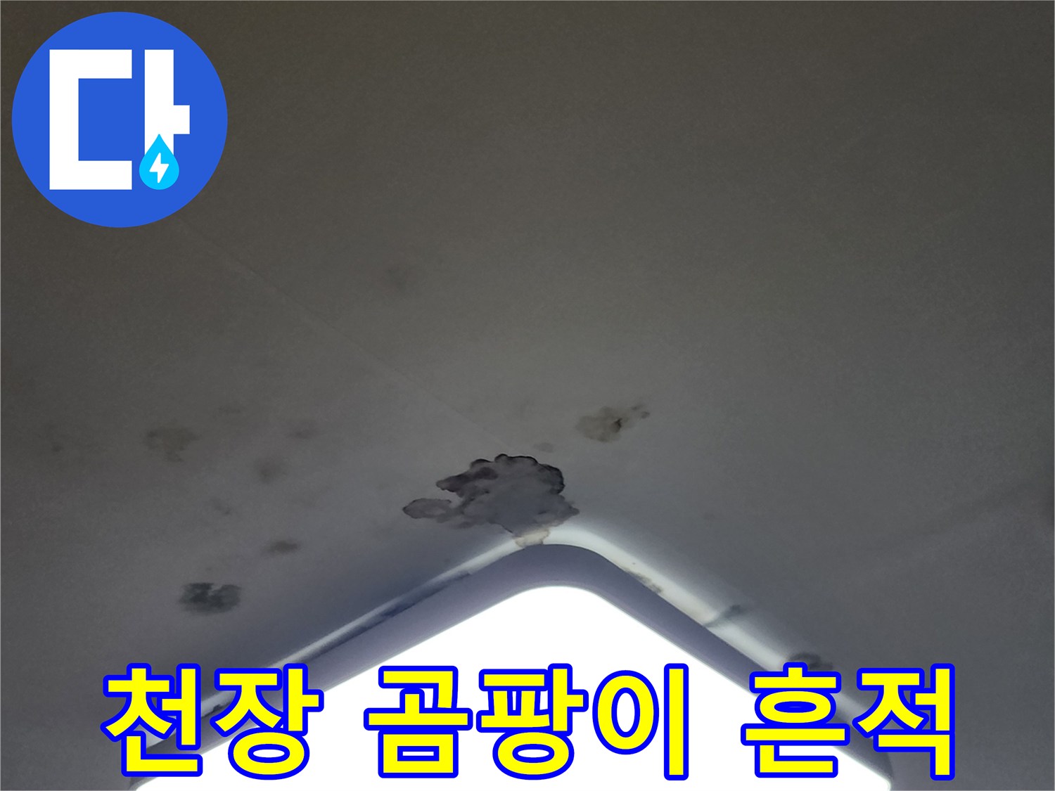 천장 조명 주변에 나타난 젖은 얼룩과 검은 곰팡이 자국