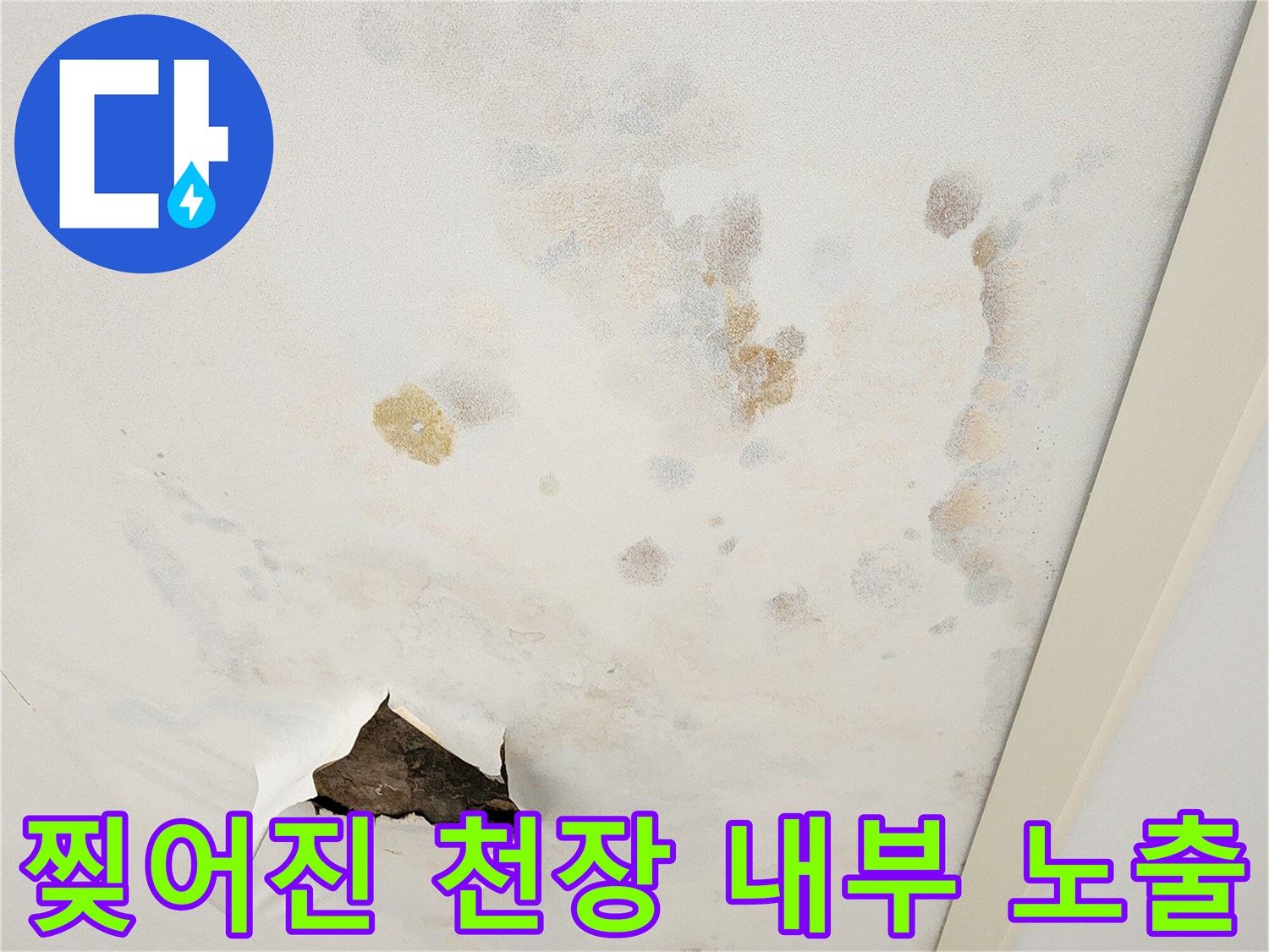 포천 무봉리 현장 - 누수 확인을 위해 절개된 천장 부위