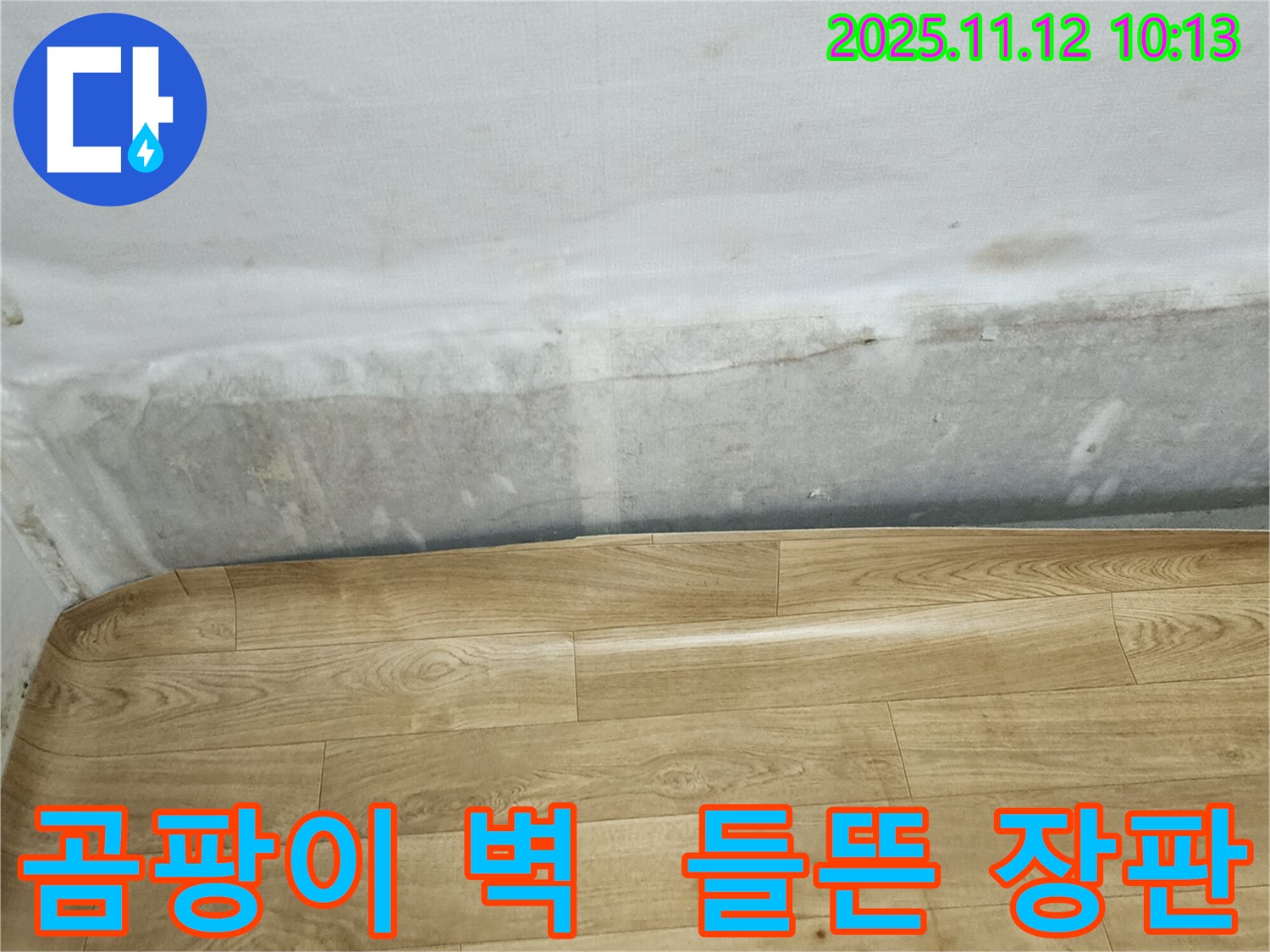 포천 소흘읍 무봉리 누수 현장 - 곰팡이 벽과 들뜬 장판은 누수 초기 증상일 수 있습니다 - 서둘러 점검하세요.