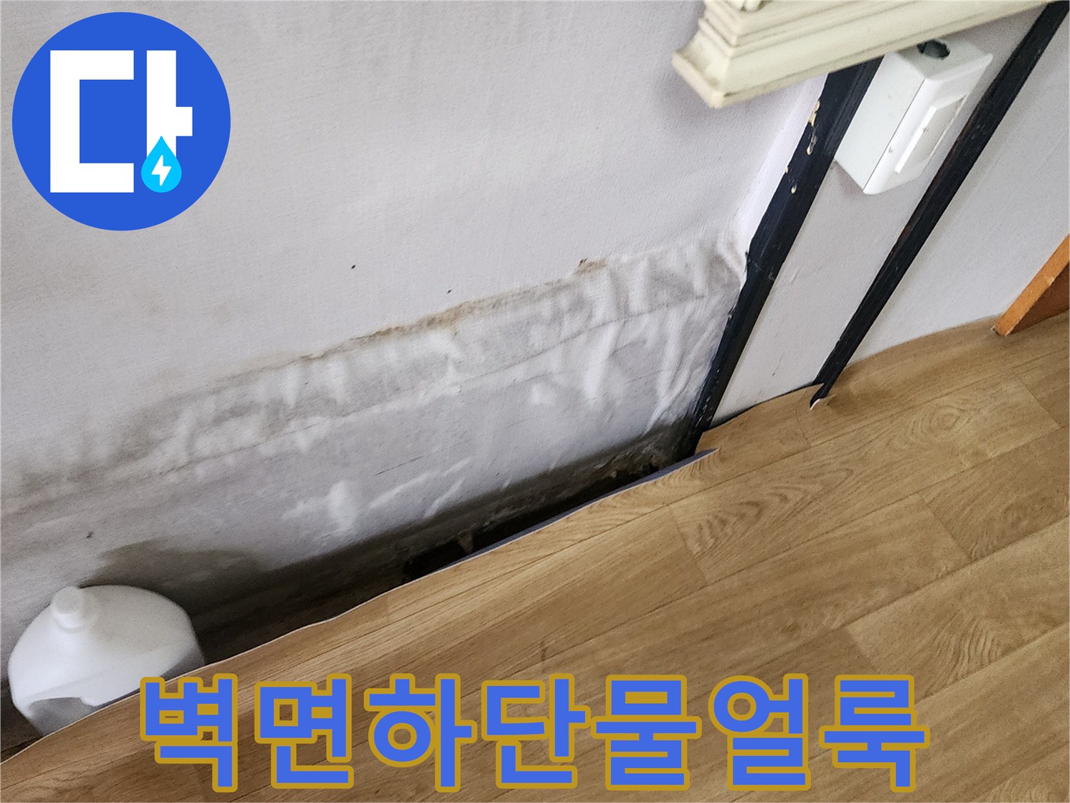 포천 소흘읍 아파트 벽면 하단의 습기와 얼 ​얼룩 상태