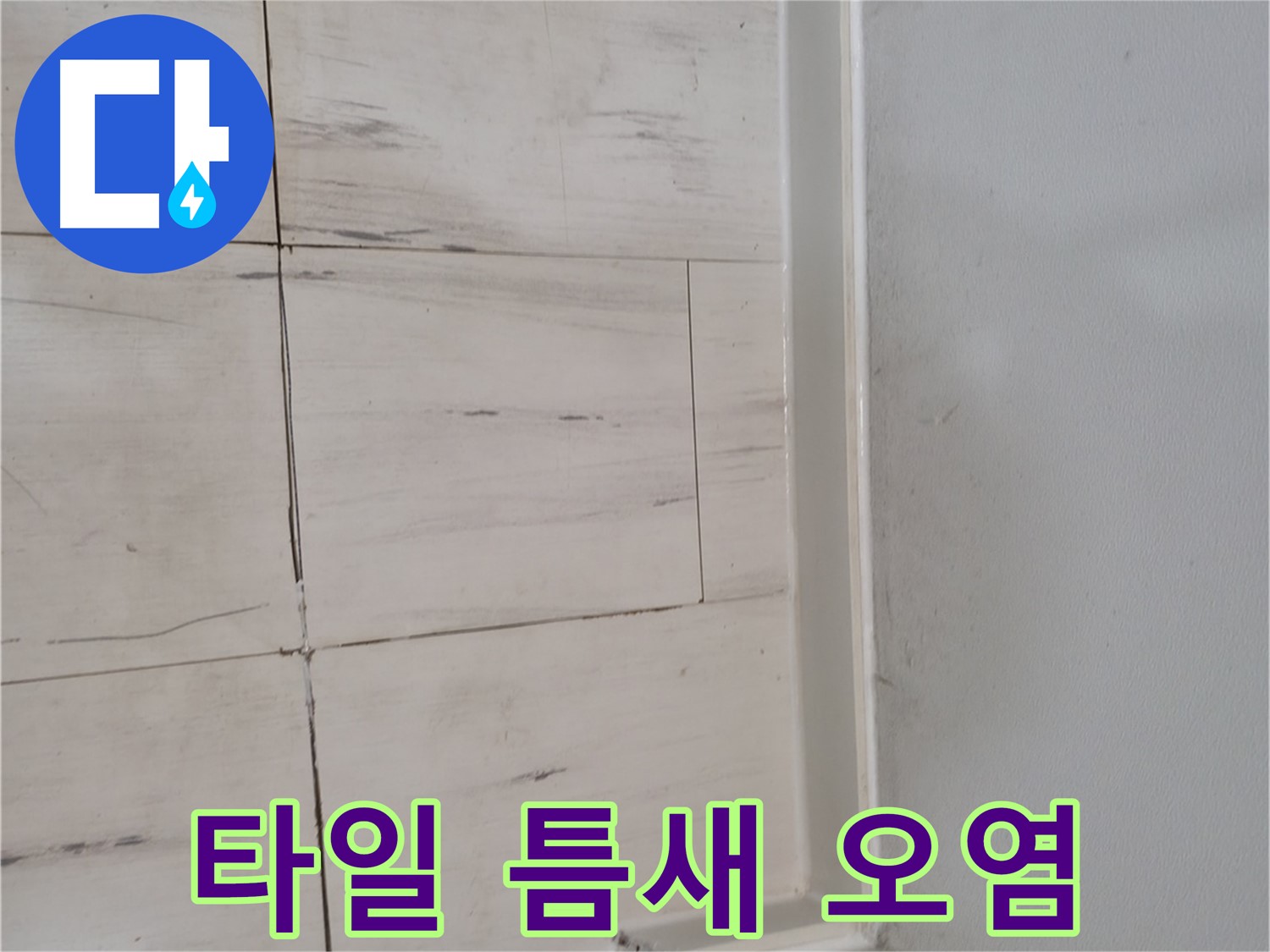 타일 틈새 - 오염 확인