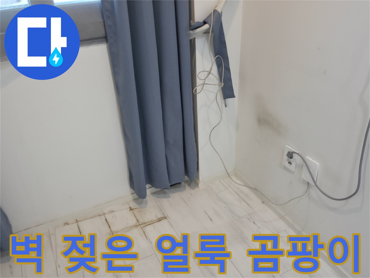 관악구 누수 - 벽에 젖은 얼룩과 곰팡이 문제 - 누수 해결 위한 전문 기술