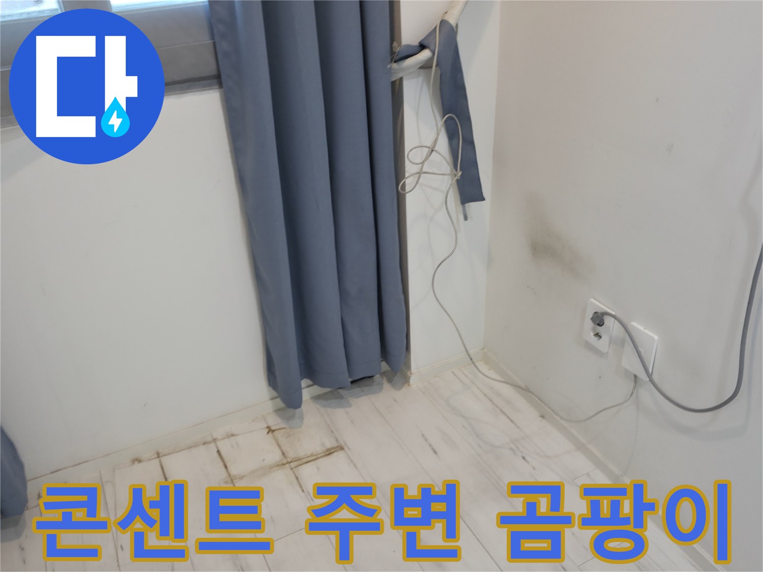 관악구 누수 - 콘센트 주변 곰팡이 문제 - 누수 원인 탐지