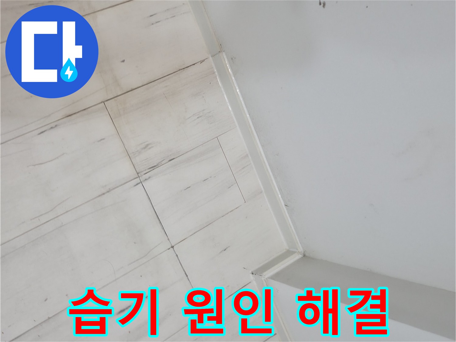 관악구 장판 밑 습기 누수 - 정확한 원인 파악 및 재발 방지