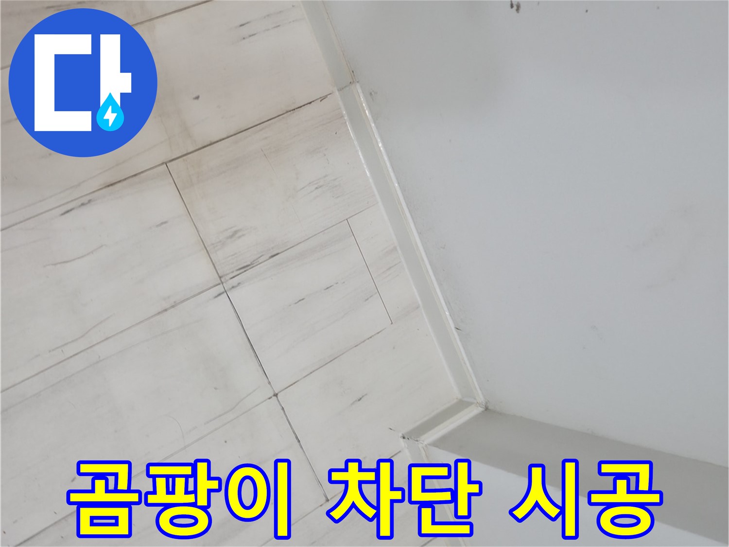 관악구 벽 곰팡이 누수 차단 시공