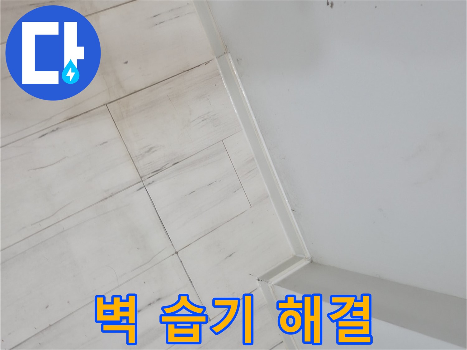 관악구 벽 습기 누수 쾌적한 환경 조성