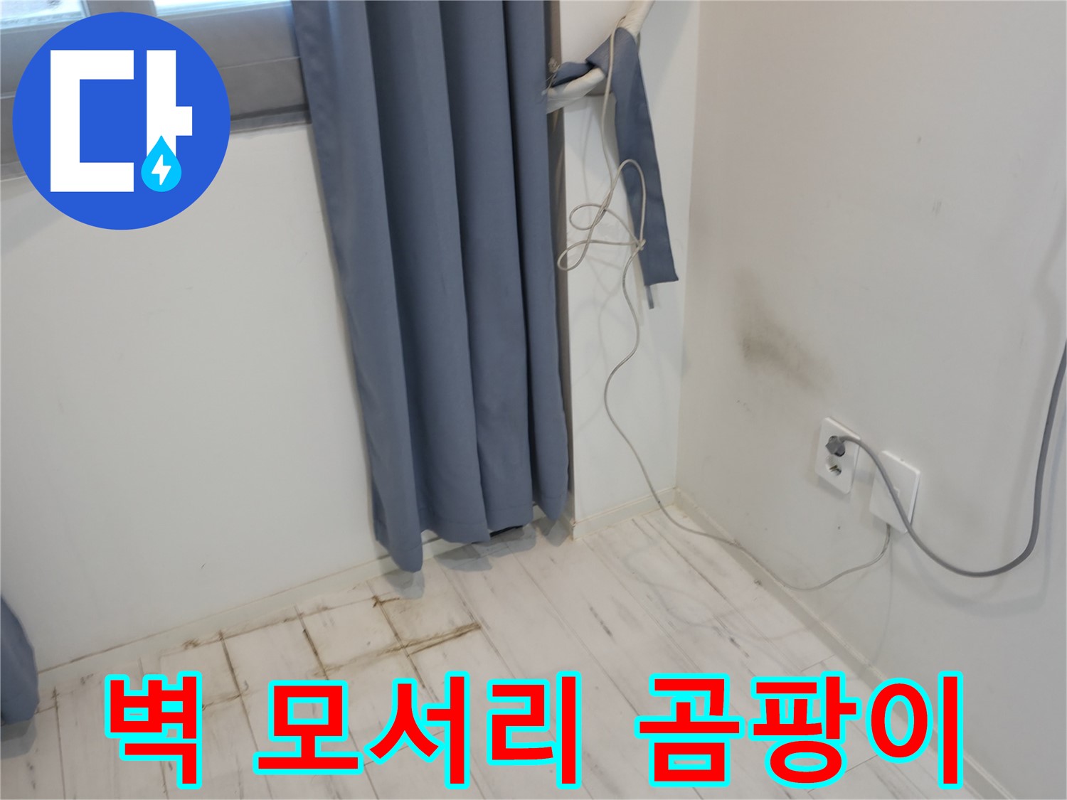 신림동 누수 - 벽 모서리 곰팡이 문제 - 원인 분석 및 누수 해결 과정