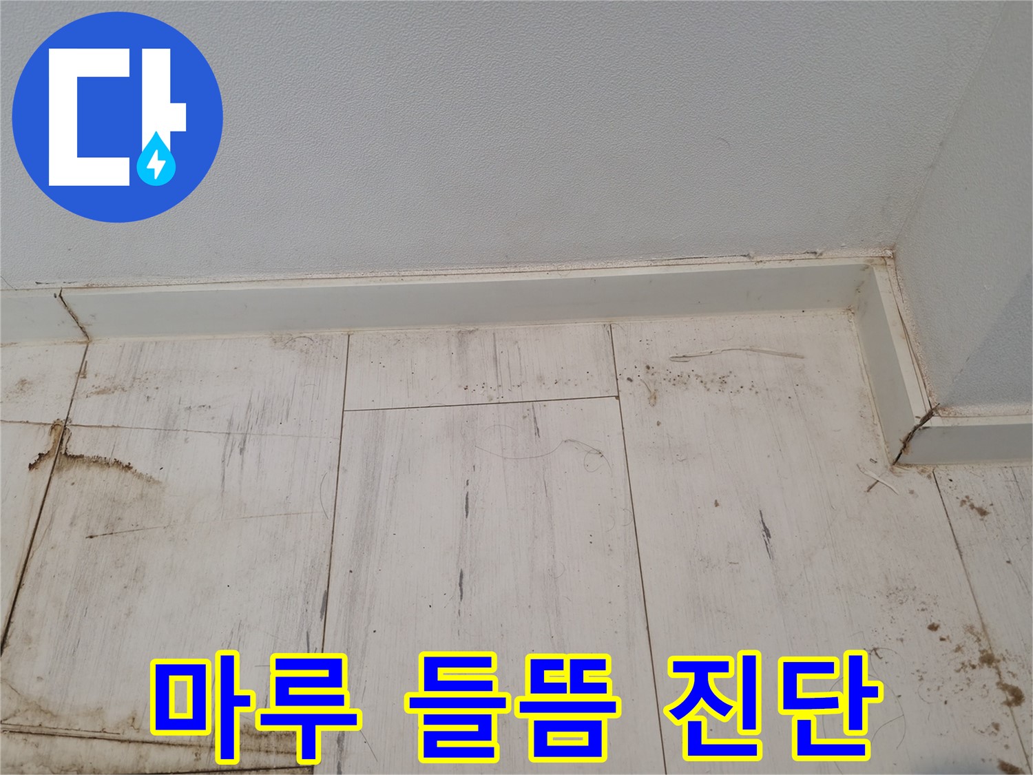 신림동 누수 - 마루 들뜸 정밀 진단 - 누수 or 습기?